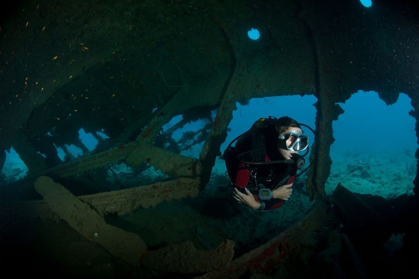 Diving Wreck - Lewini