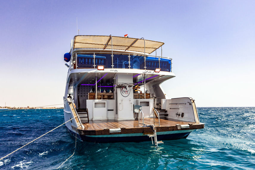 Dive Platform - Lewini