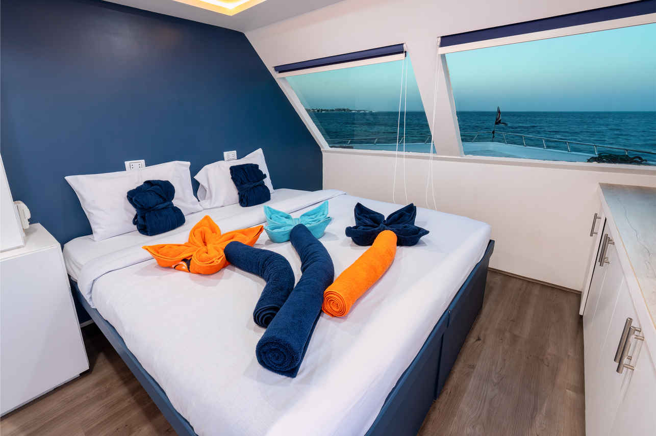 Superior Suite Cabin