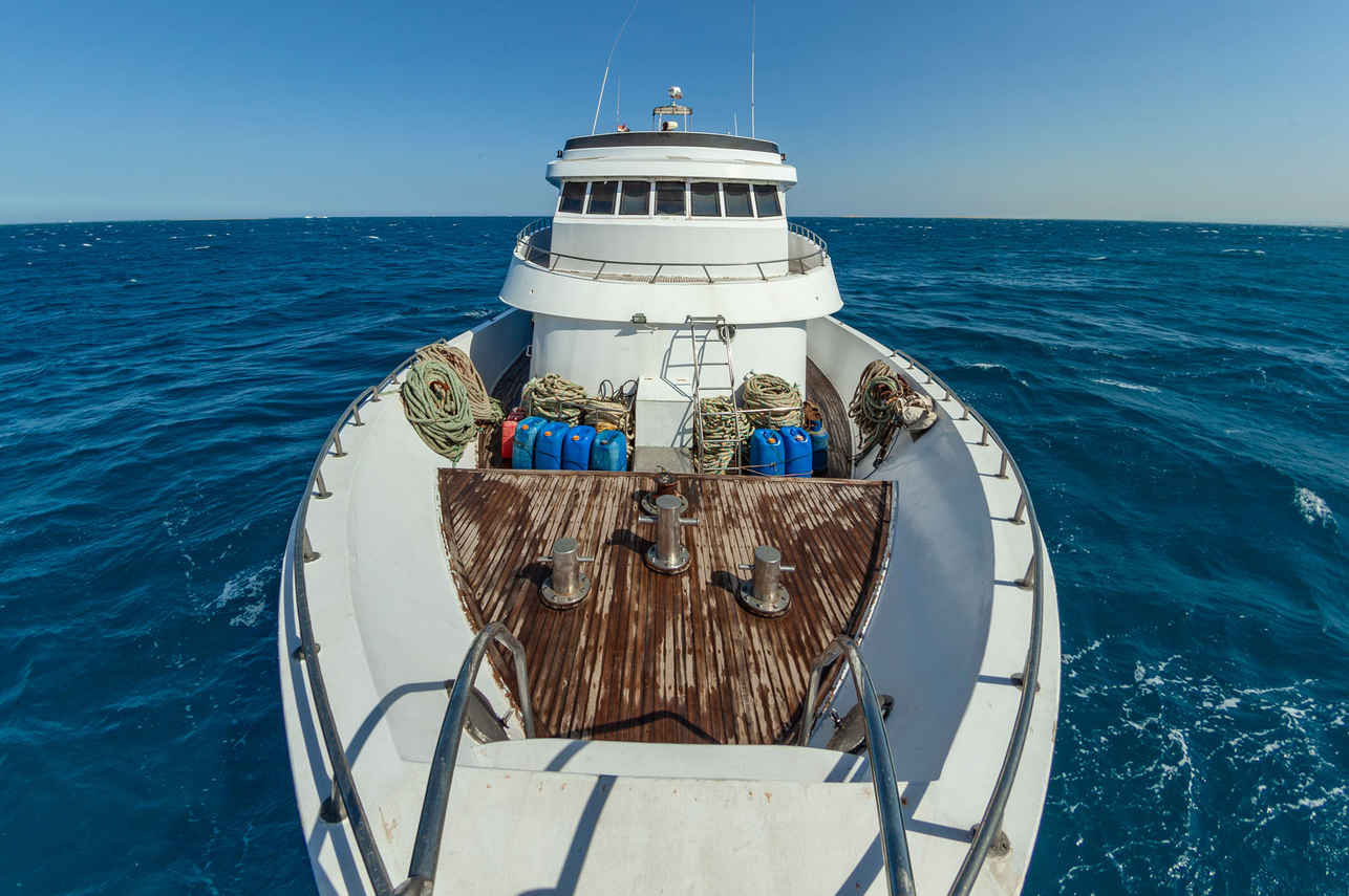 Nemo