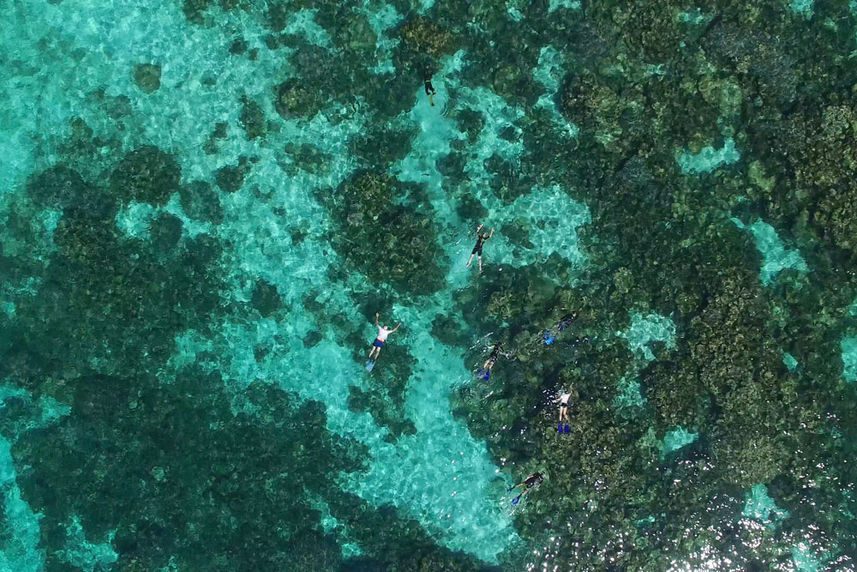 Reef Snorkelers