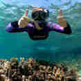 Diving - Shore Thing