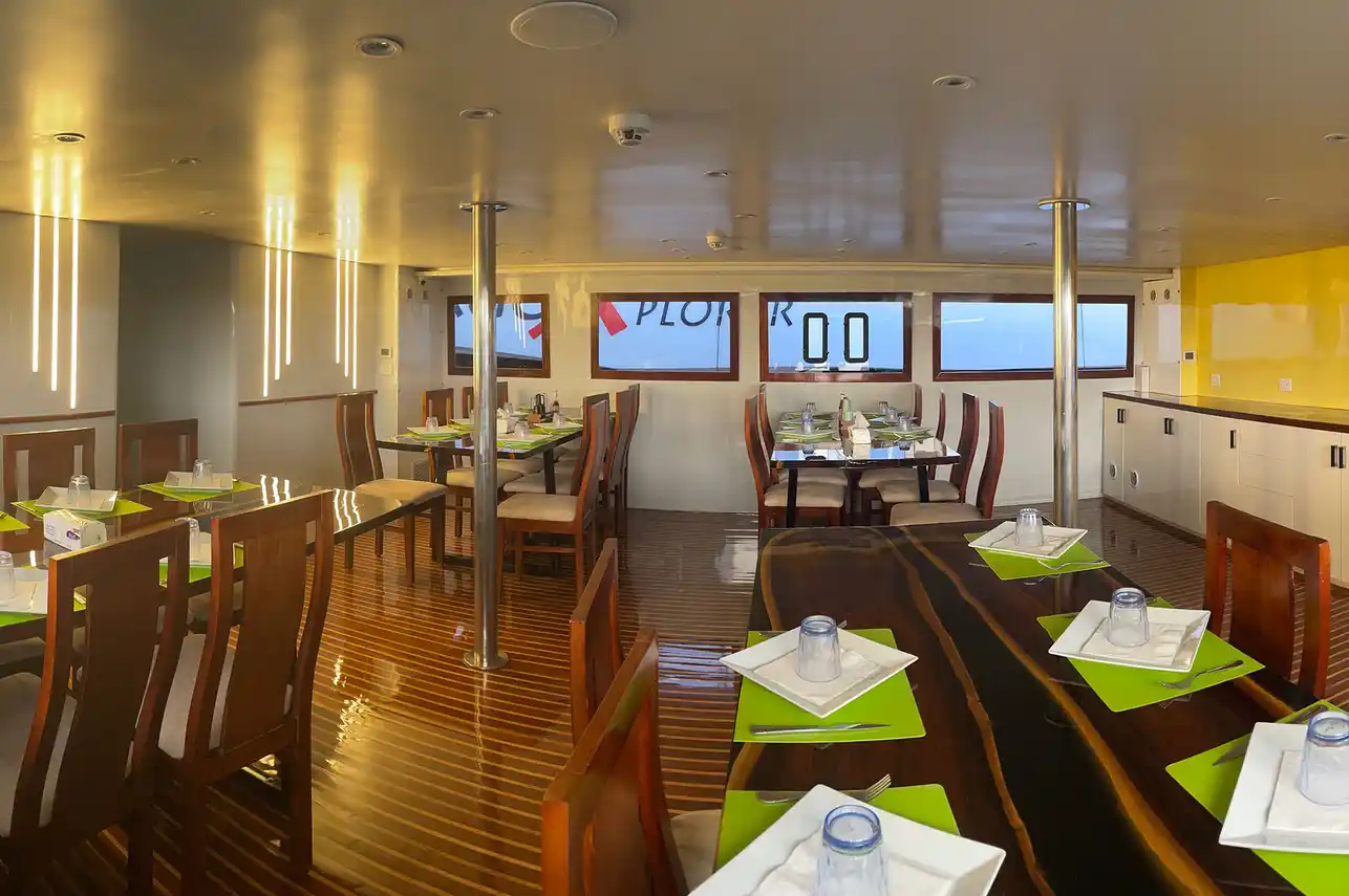 Restaurant - Vita Xplorer