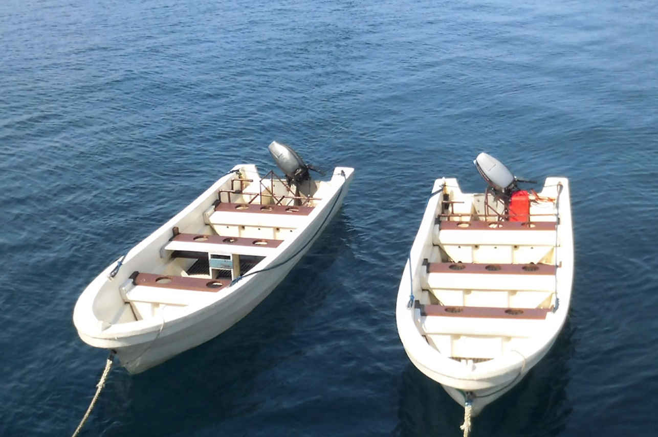 Bote inflable auxiliar - Seamore Papua