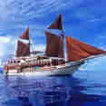 Seamore Papua