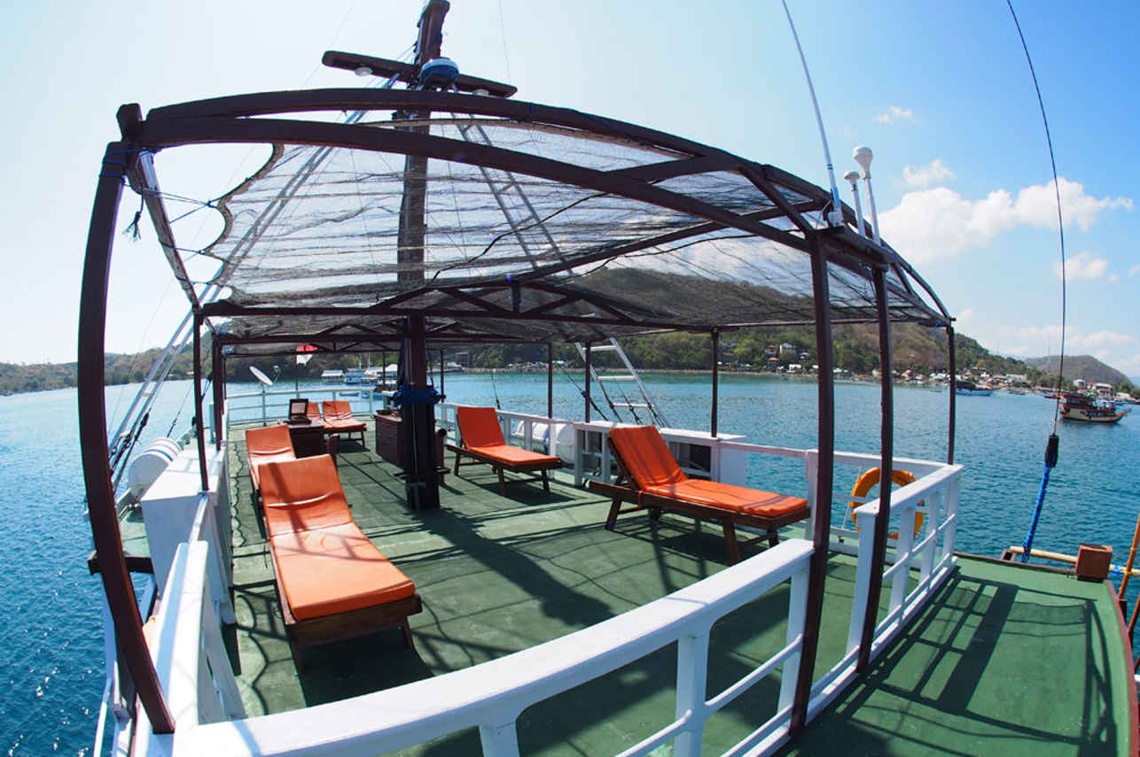 Terraza - Seamore Papua