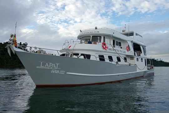 Lapat