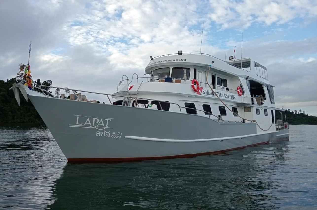 Lapat