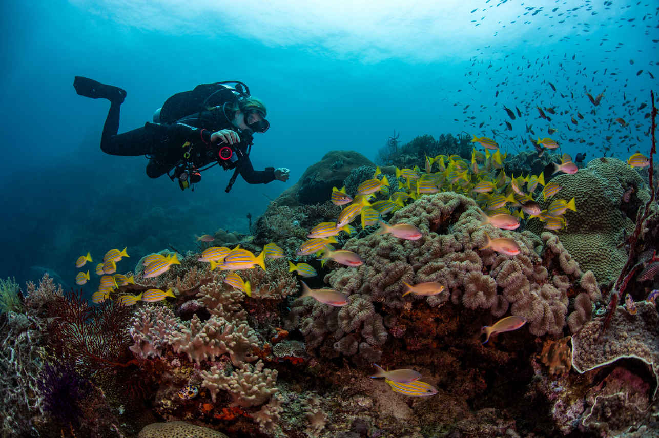 Diving