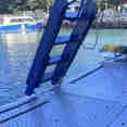Plancia per immersioni - Dolphin