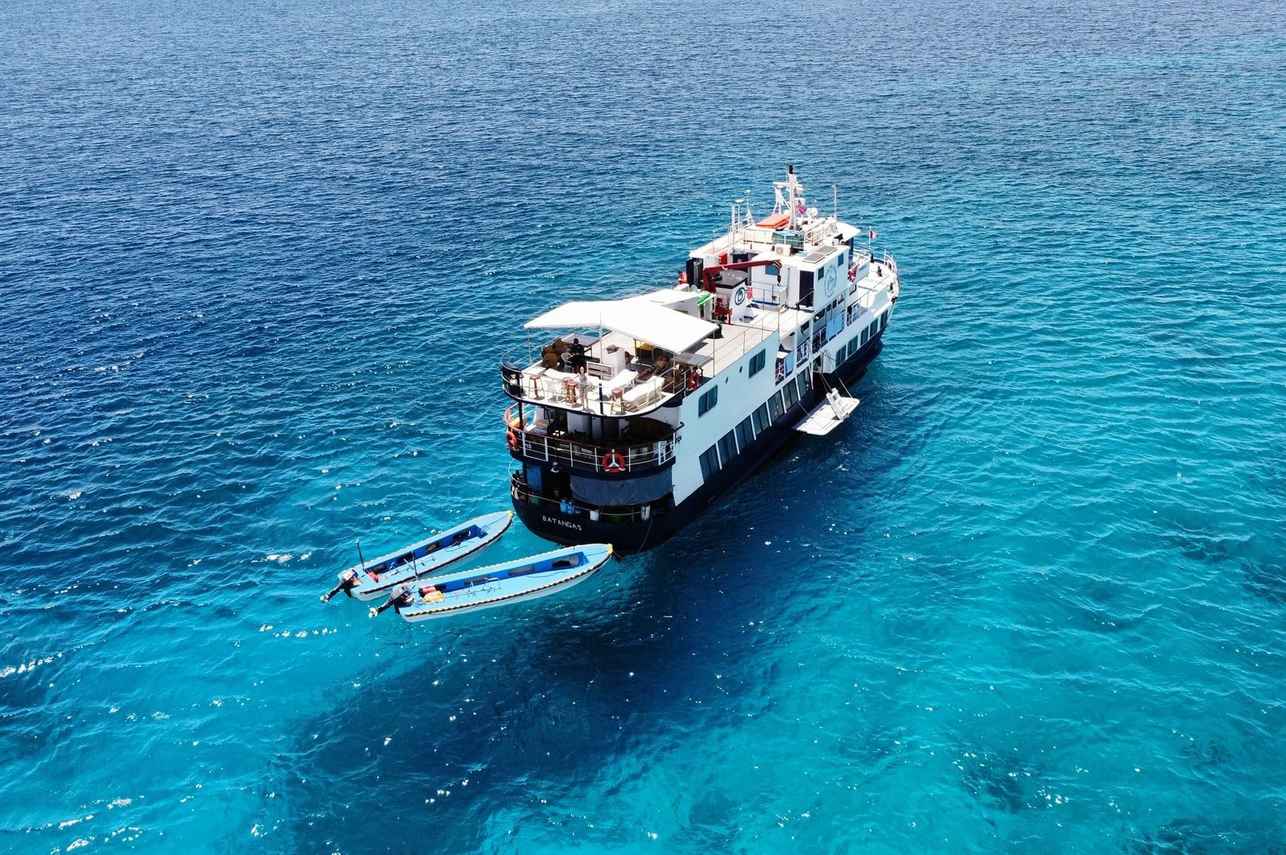 MV Dolphin Philippines