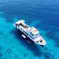 MV Dolphin Philippines