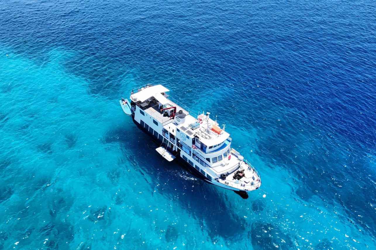 MV Dolphin Philippines