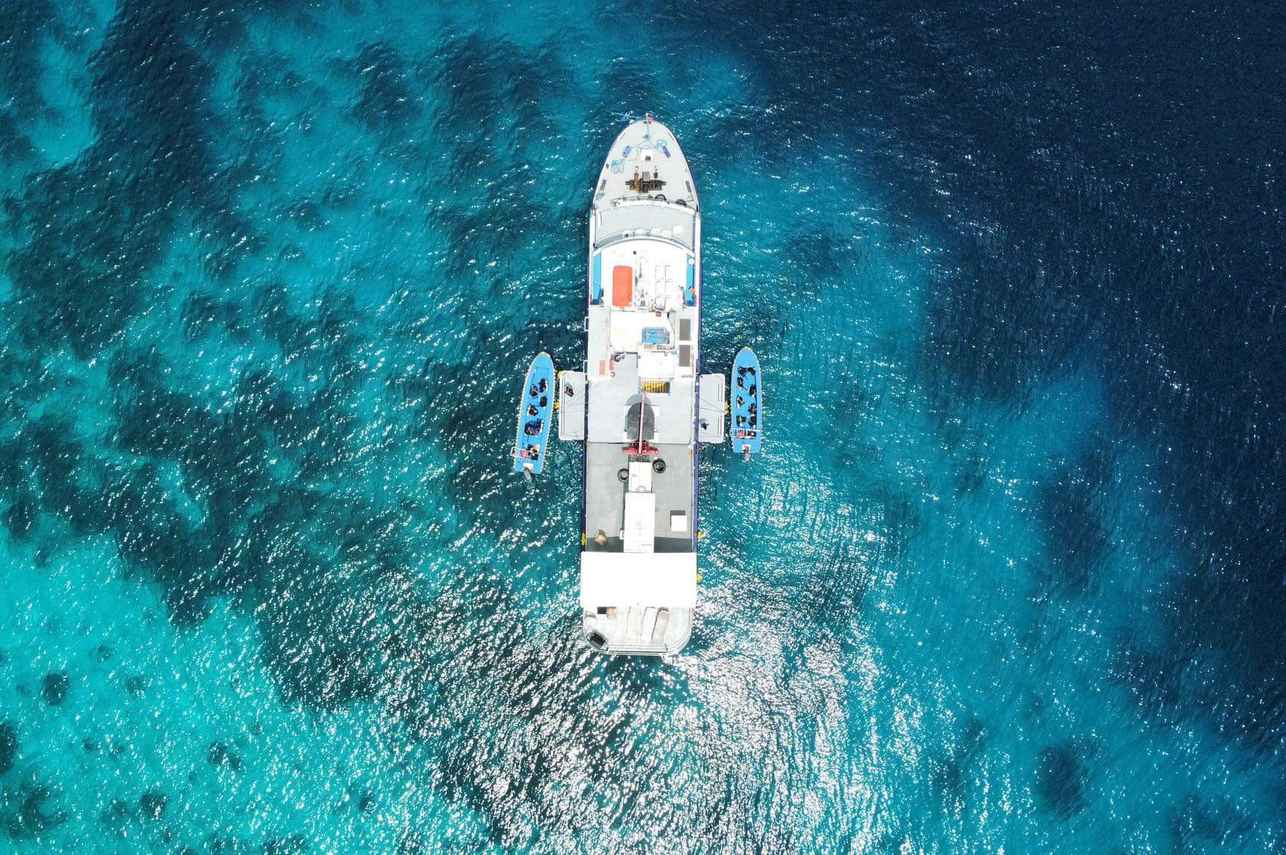 Vue aérienne - Dolphin