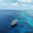 MV Dolphin Philippines