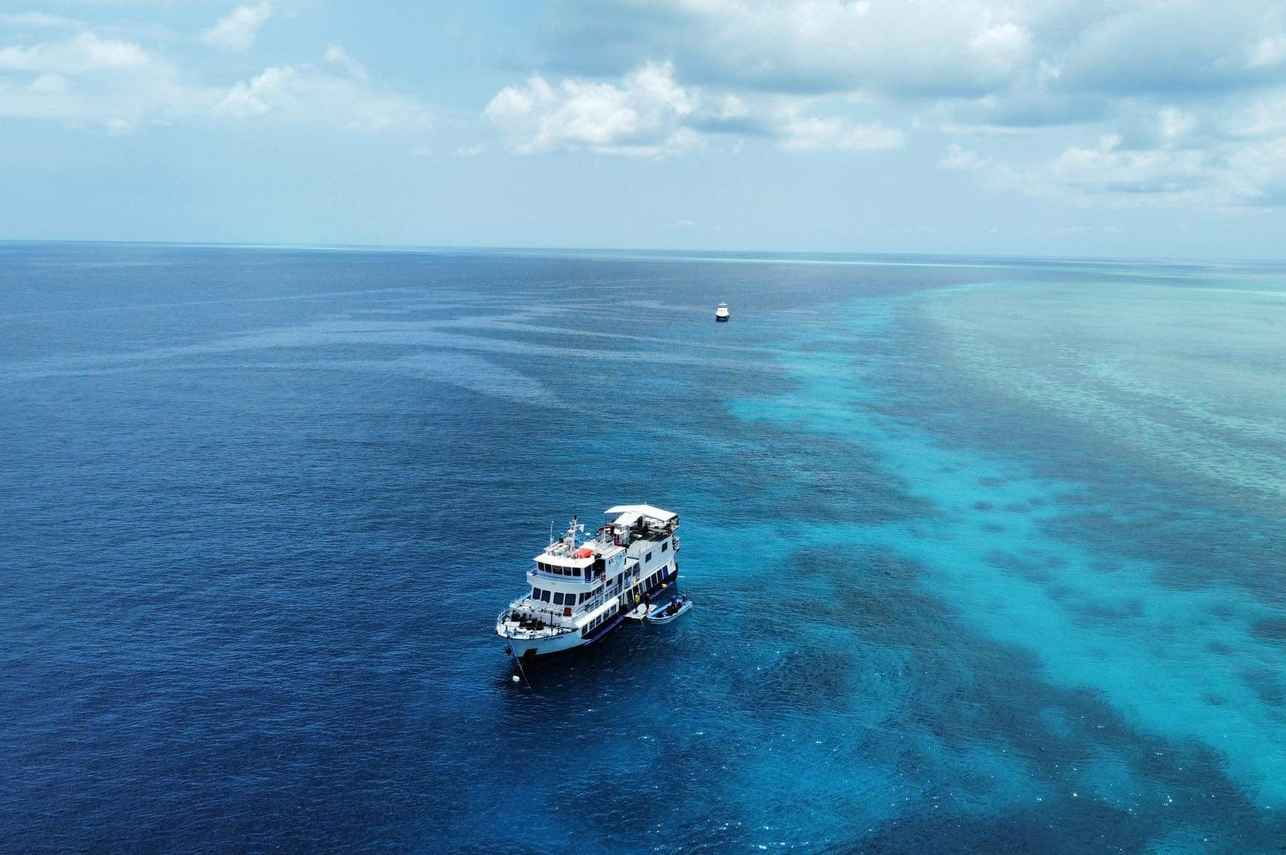 MV Dolphin Philippines