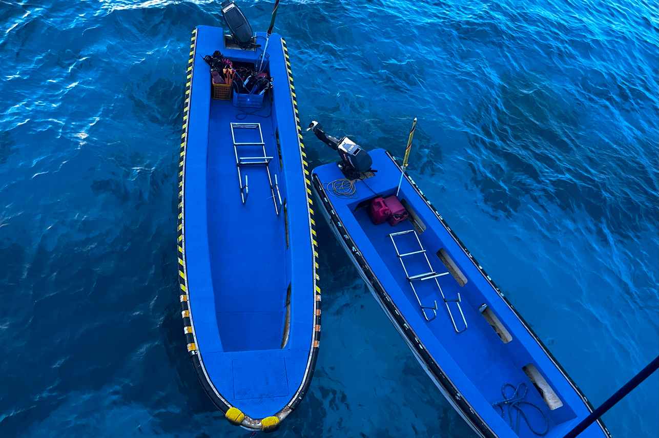 Annexes pour les plongeurs - Dolphin