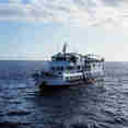 MV Dolphin Philippines