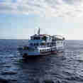 MV Dolphin Philippines