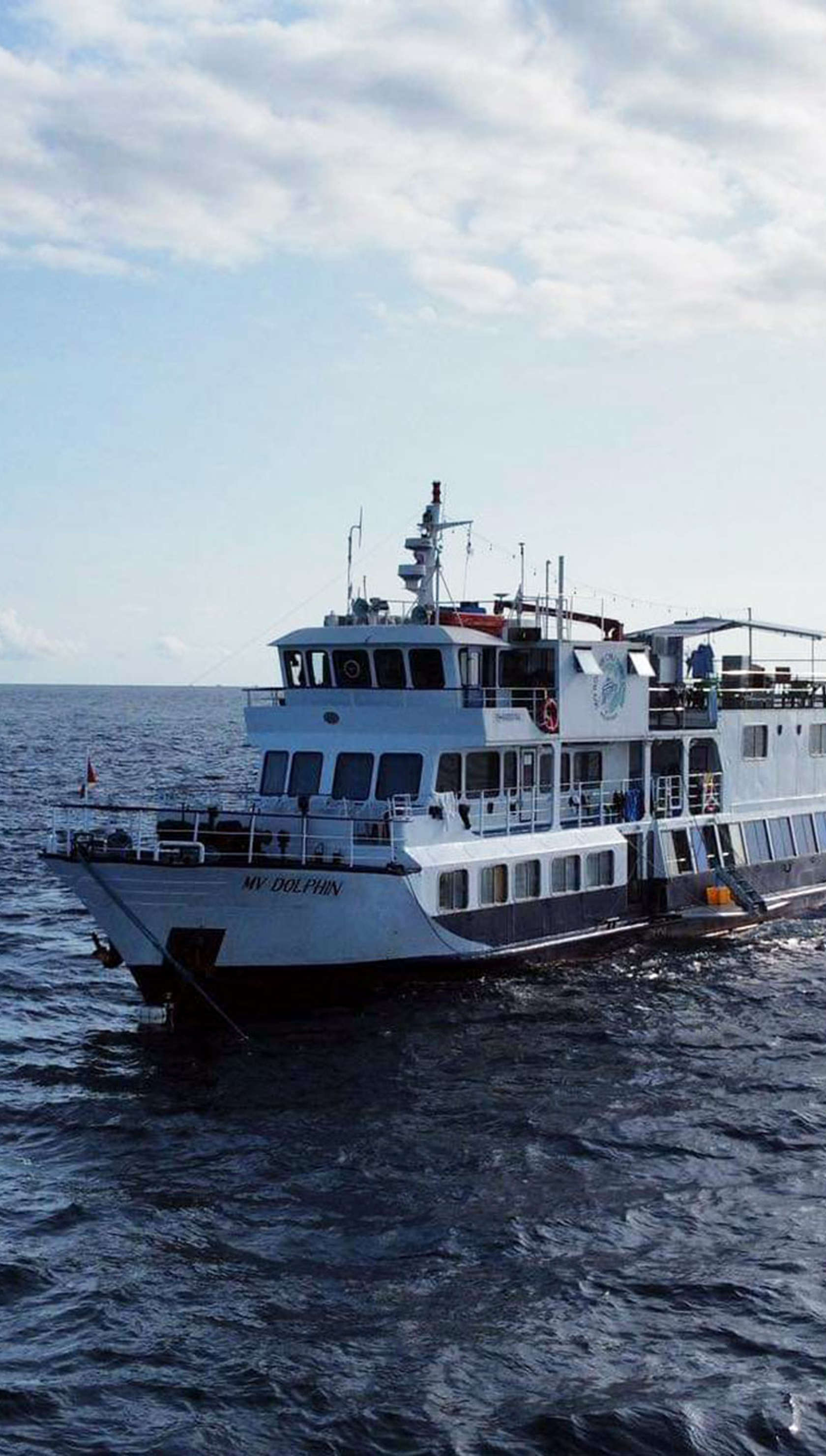 Dolphin Philippines