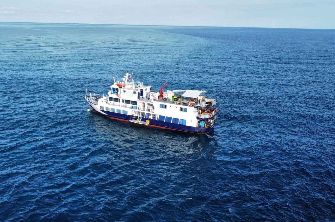 MV Dolphin Philippines