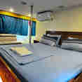 Cabina Principale - Dolphin