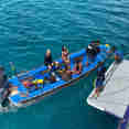 Plancia per immersioni - Dolphin