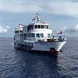 MV Dolphin Philippines