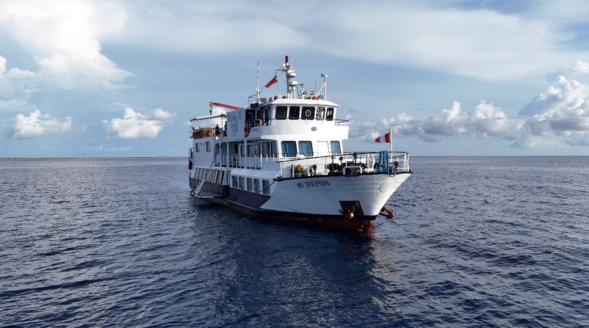 MV Dolphin Philippines