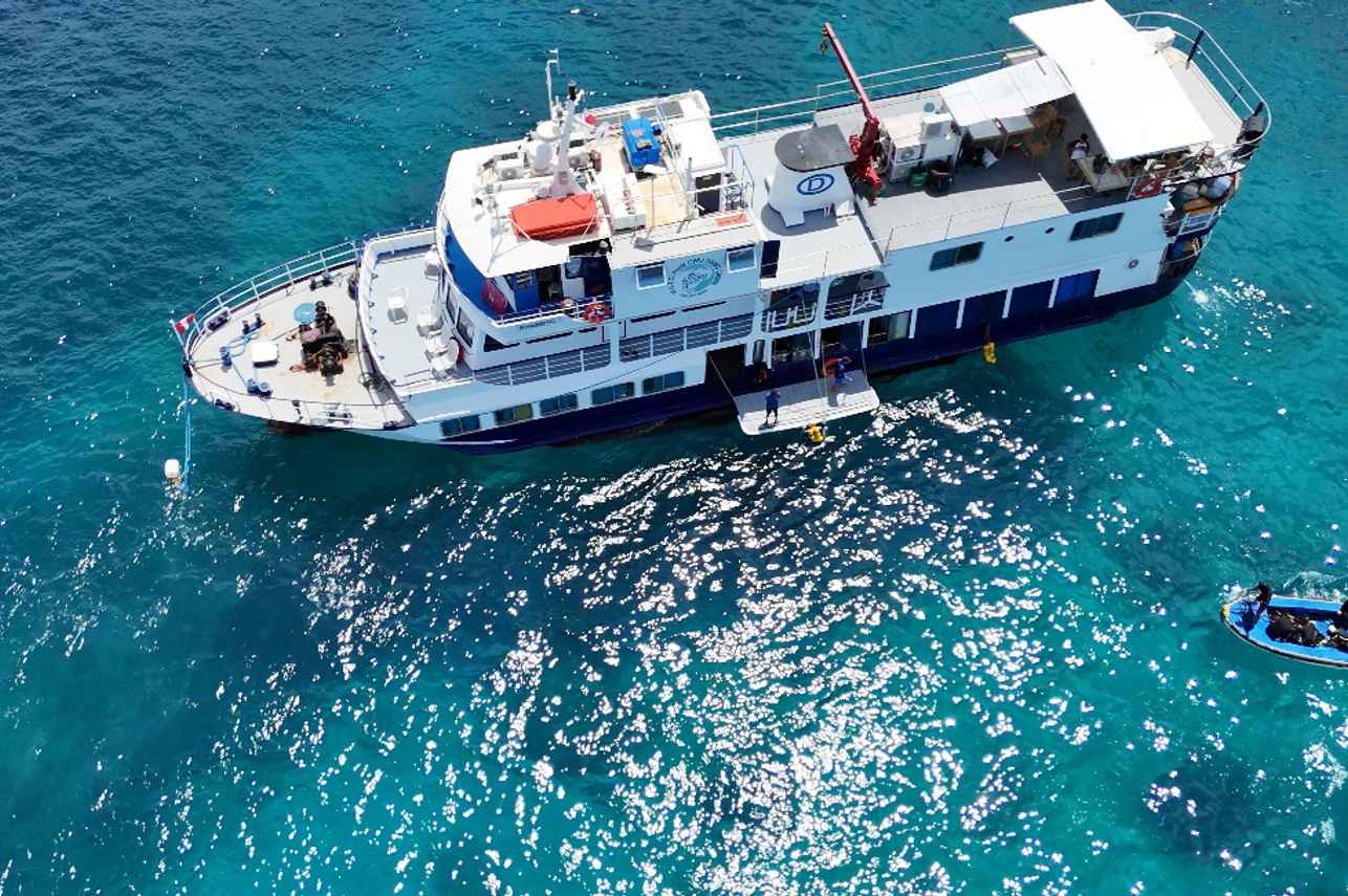 MV Dolphin Philippines