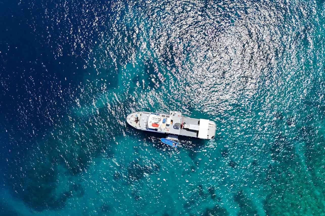 MV Dolphin Philippines