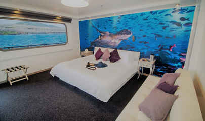 Standard Cabins