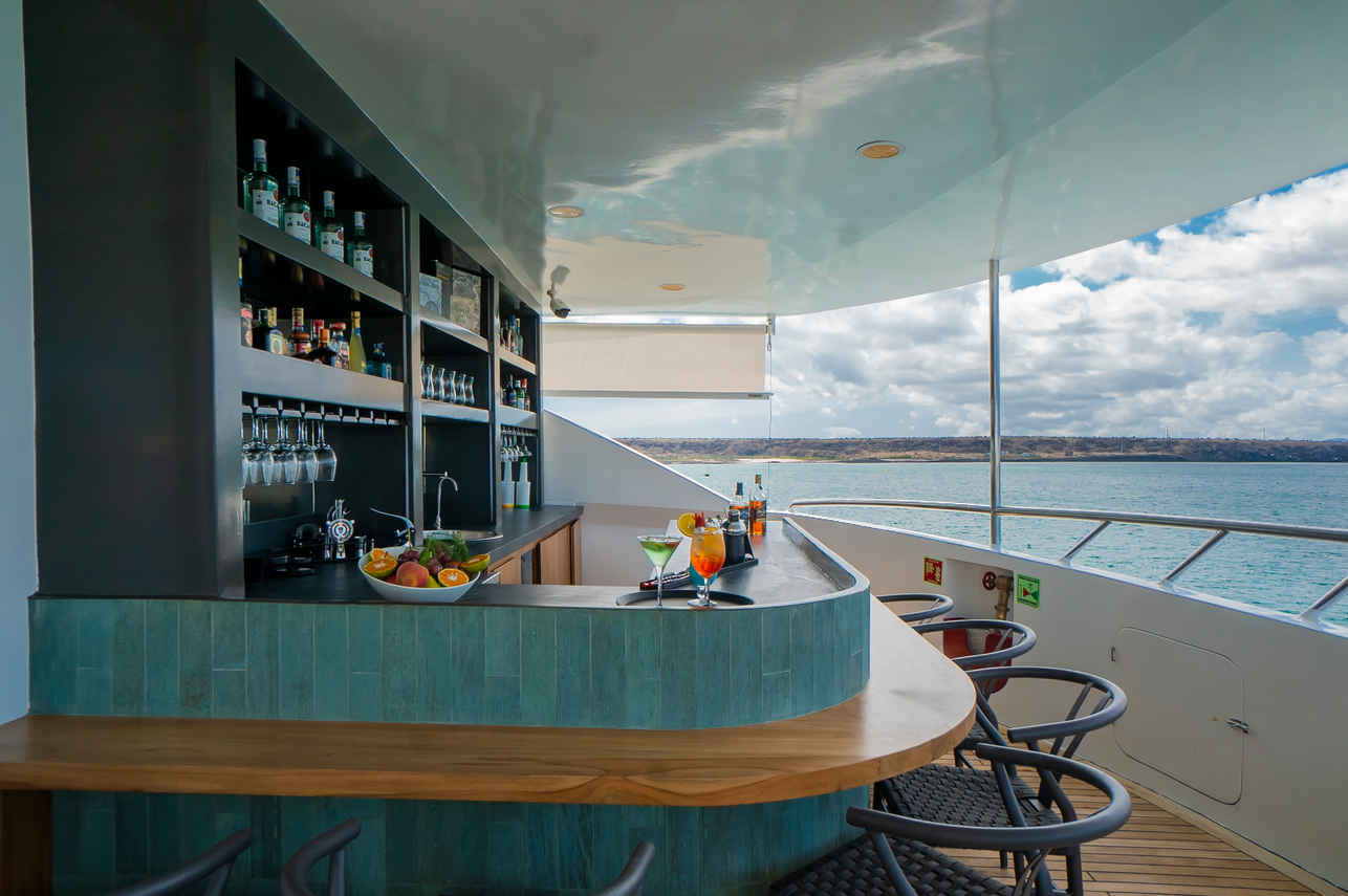 Bar Area - Endemic
