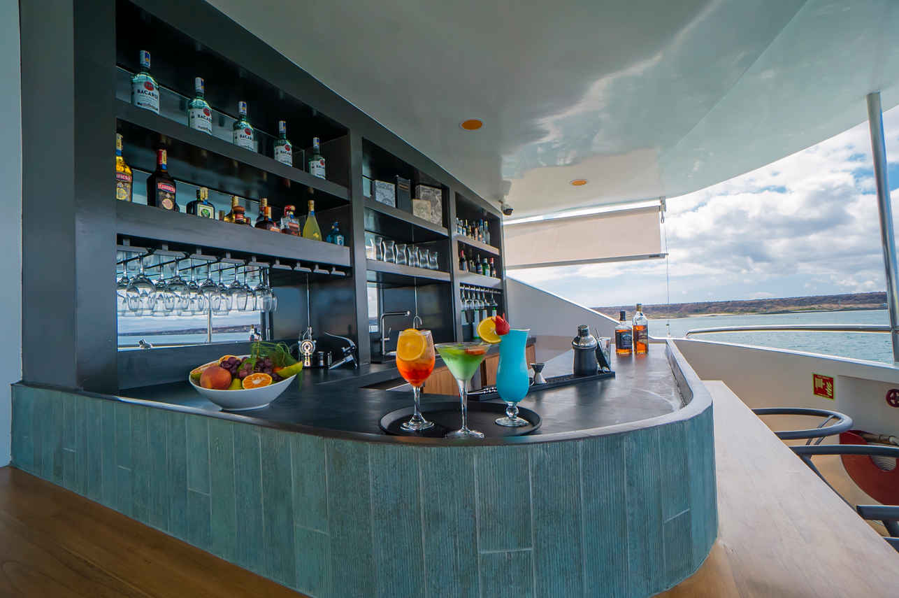 Bar Area - Endemic