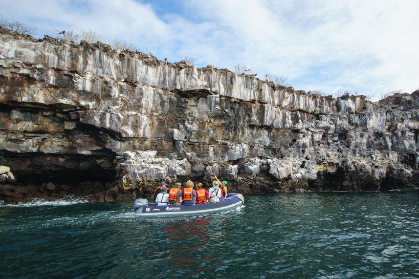 Explorations d'Iles - Endemic