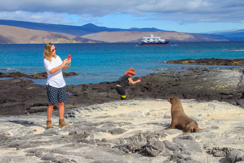 Explorations d'Iles - Endemic