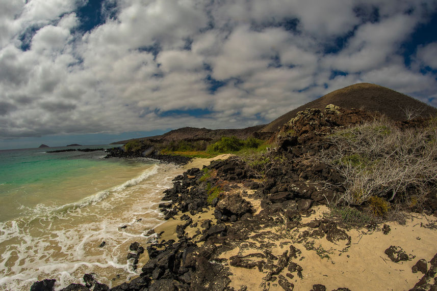 Explorations d'Iles - Endemic