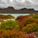 Esplorazione dell'isola - Endemic