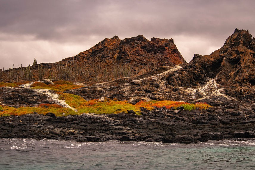 Esplorazione dell'isola - Endemic