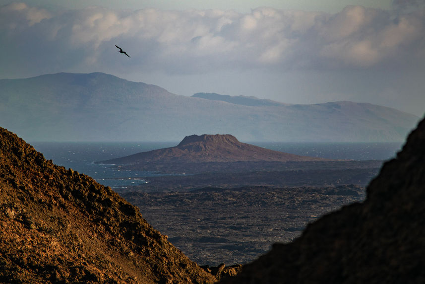 Esplorazione dell'isola - Endemic