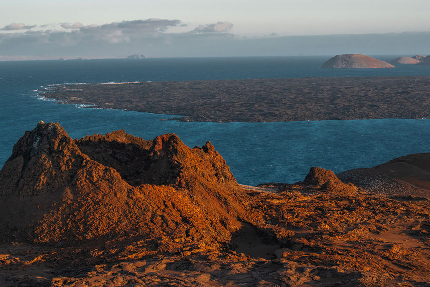 Esplorazione dell'isola - Endemic