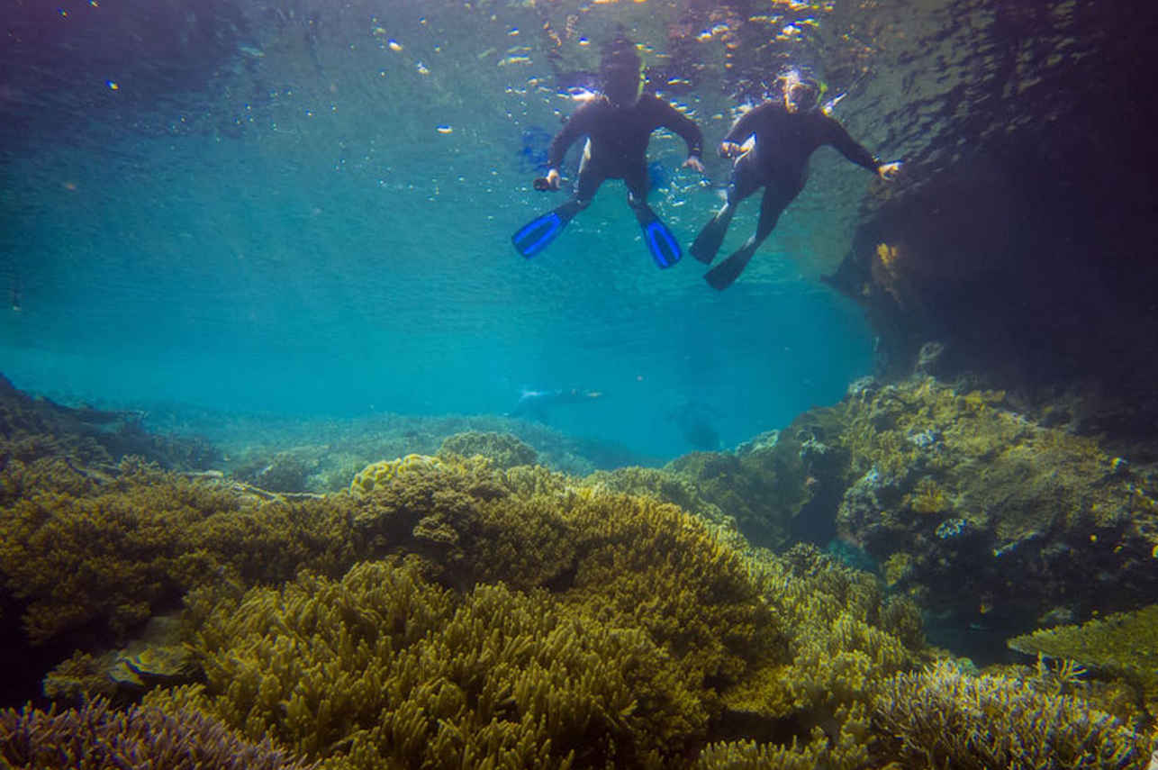 Diving