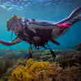 Diving
