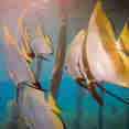 Fishes