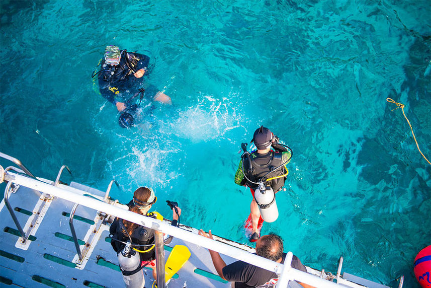 Cubierta de buceo - Camic