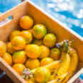Food on board - Camic