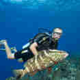 #diving