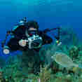 #diving