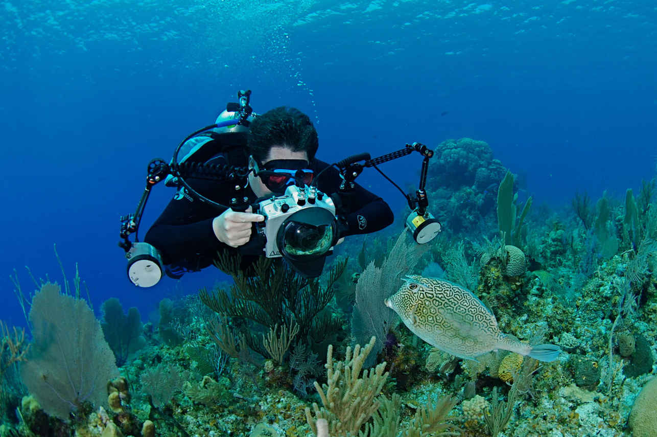 Diving