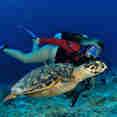 Diving with turtle